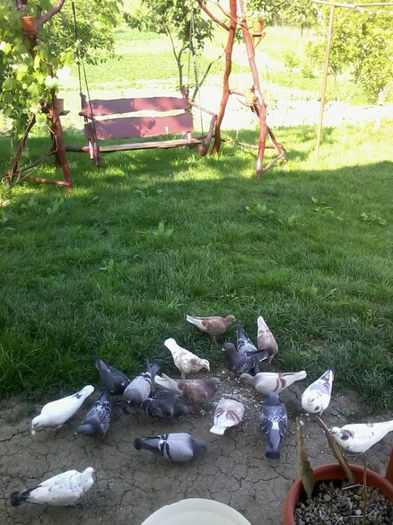 10364628_623557857735117_824970526_n