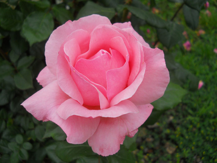 DSCN3781_025