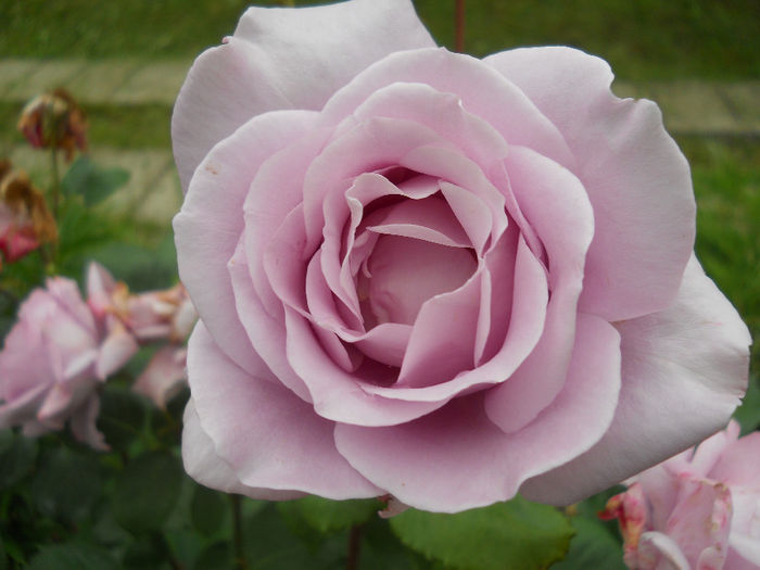 DSCN3791_035