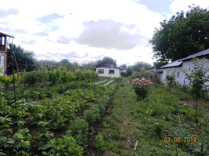 O imagine panoramica