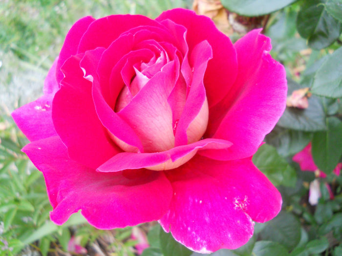 DSCN3841_085