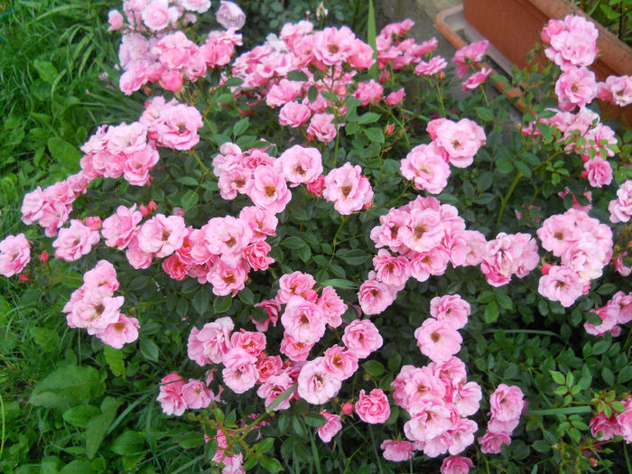 DSCN3860_104
