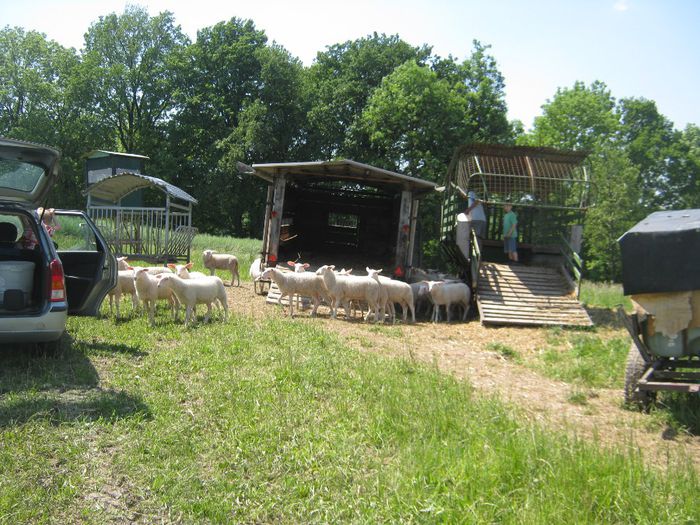 Fest_Katzin_ 025