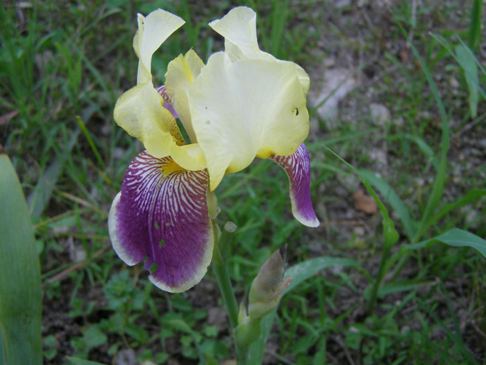 P1019207