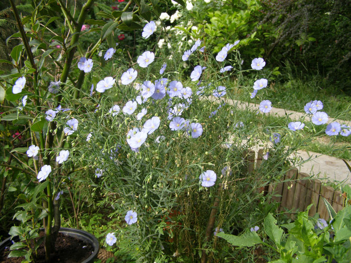 P1019338