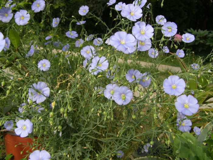 P1019339