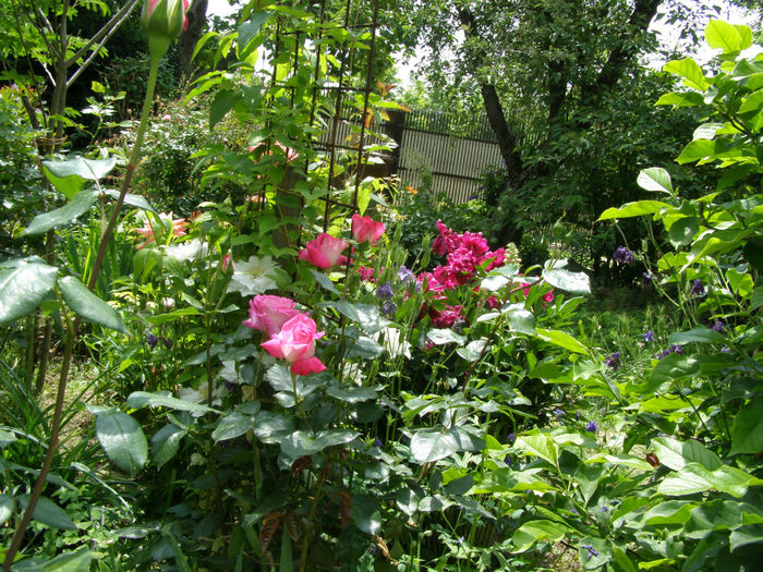P1019260