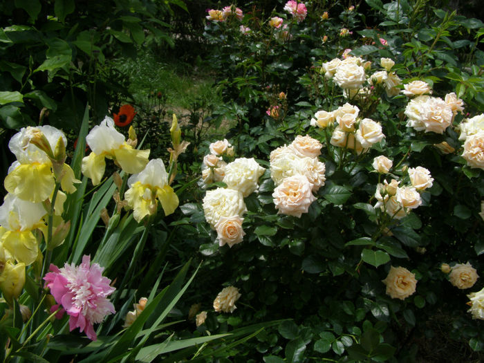 P1019261