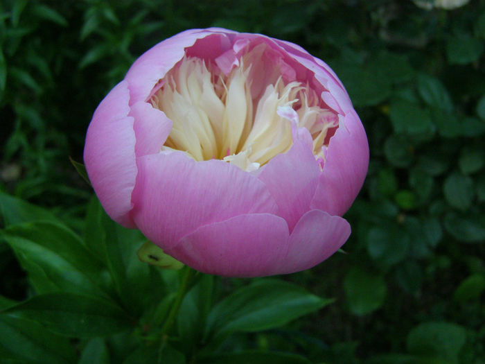 P1019283