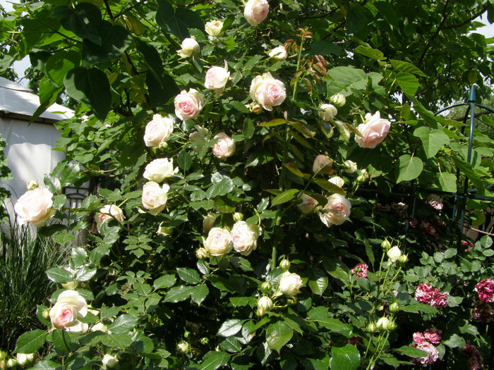 P1019302
