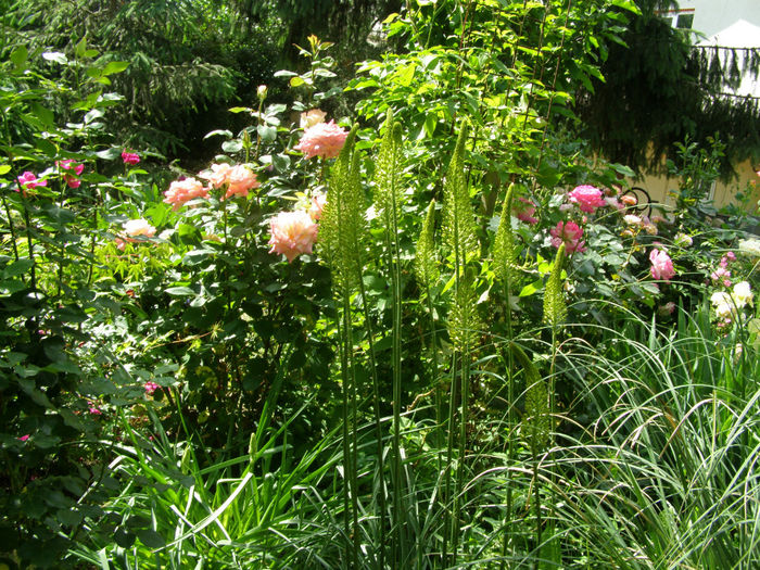 P1019307