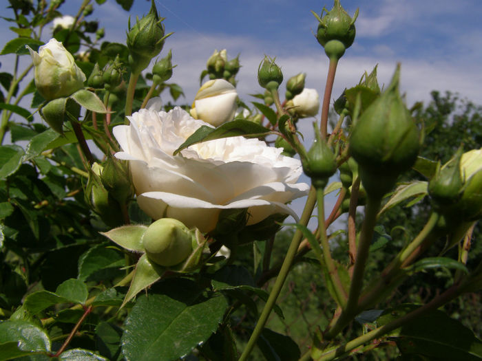 P1019325