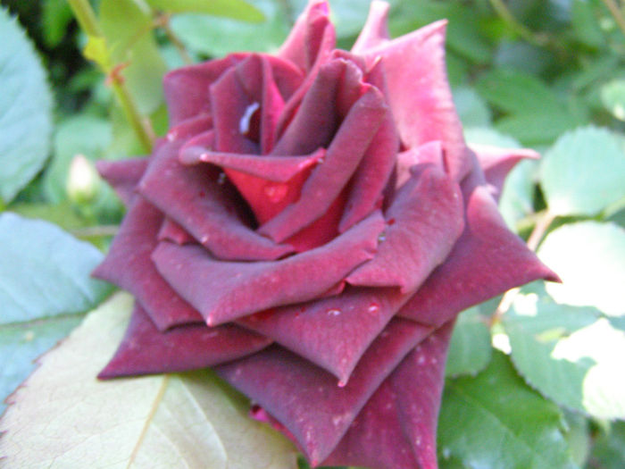 P1019151