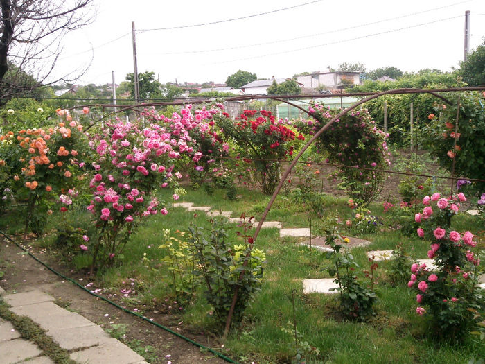 Photo2873