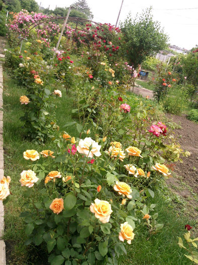 Photo2874