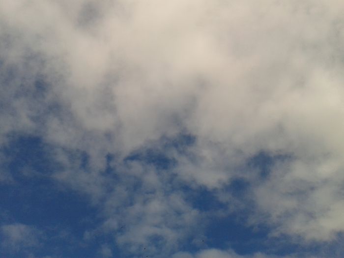 2014-06-02 09.43.20