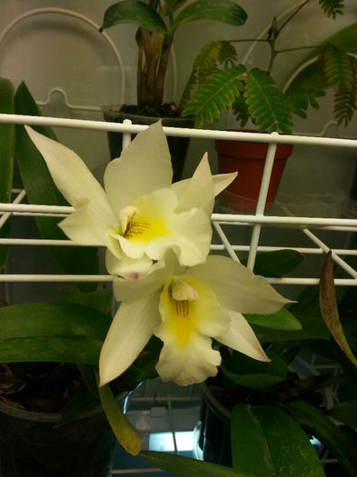 20140602_165829; victooorieee!
