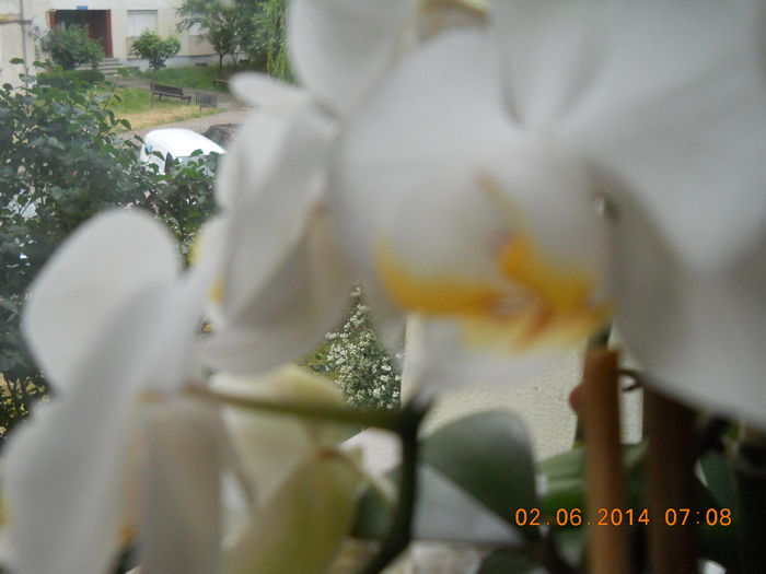 021 - IUNIE 2014