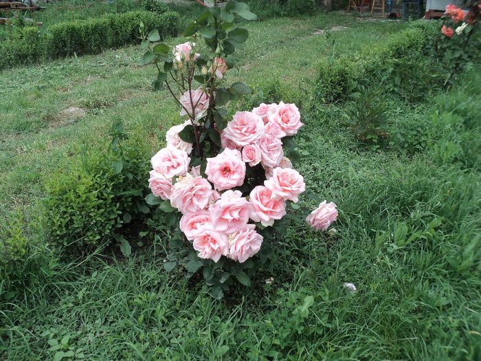 DSC04328