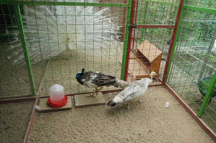 DSC05359