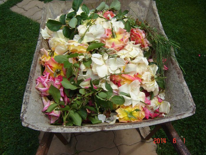 Inevitabilul s-a produs !