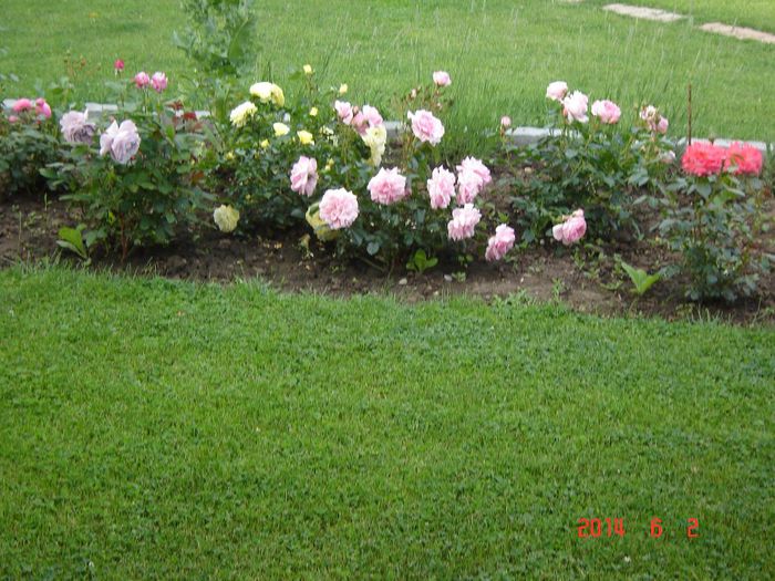 DSC04741