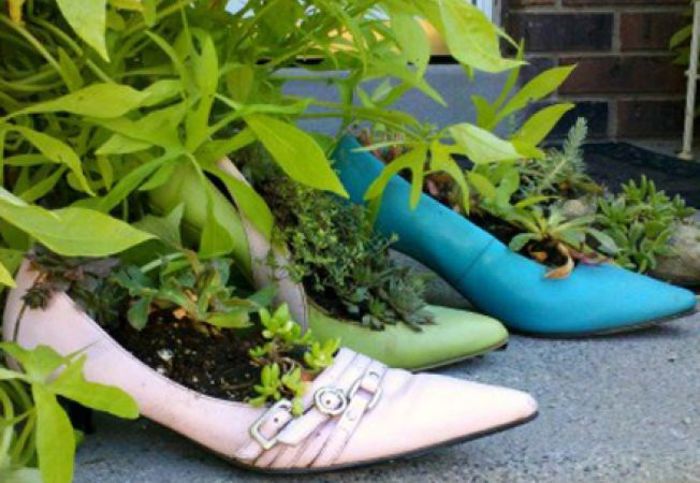 652x450_099867-aranjamente-de-gradina-in-incaltaminte-o-incantare