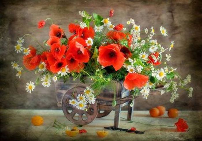 1661439_636208416414435_1903643273_n 1661439_636208416414435_1903643273_n