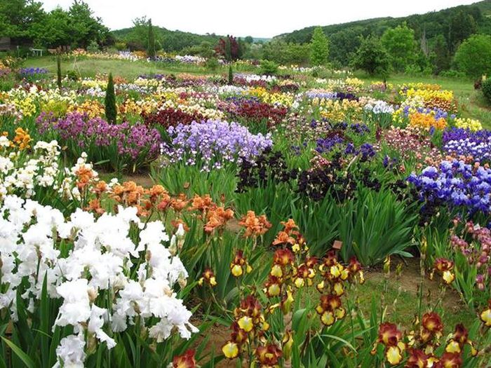 10177855_288112924682939_6291037114923989103_n 10177855_288112924682939_6291037114923989103_n