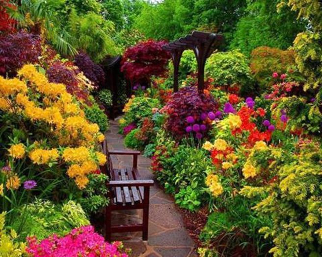 10325753_242921479241995_4346369966210040342_n 10325753_242921479241995_4346369966210040342_n