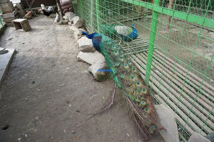 DSC05804