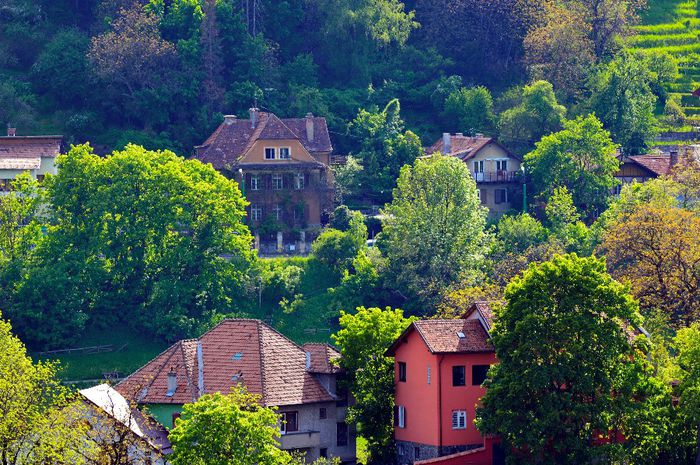Picture 429 copyA7 - BRASOV - ASPECTE