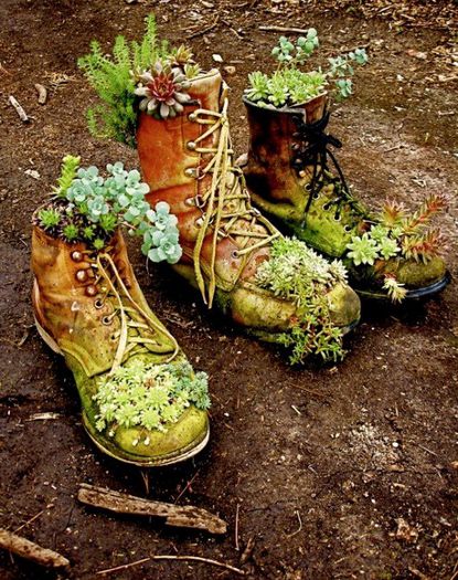 idei-aranjament-floral-gradina-din-incaltaminte-veche-si-plante-suculente - idei interesante culese de pe net A