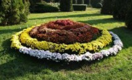 tulcea-15-elevi-de-la-tara-invata-in-portugalia-cum-sa-faca-aranjamente-florale-in-gradina-bNj - idei interesante culese de pe net A