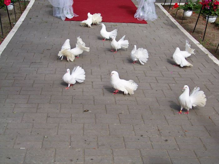 1486010_515874805207679_17570354067052535_o