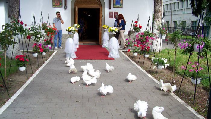 1518003_515874751874351_2359133067369559039_o