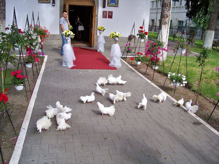 10259081_515498251912001_8455696983089379865_o