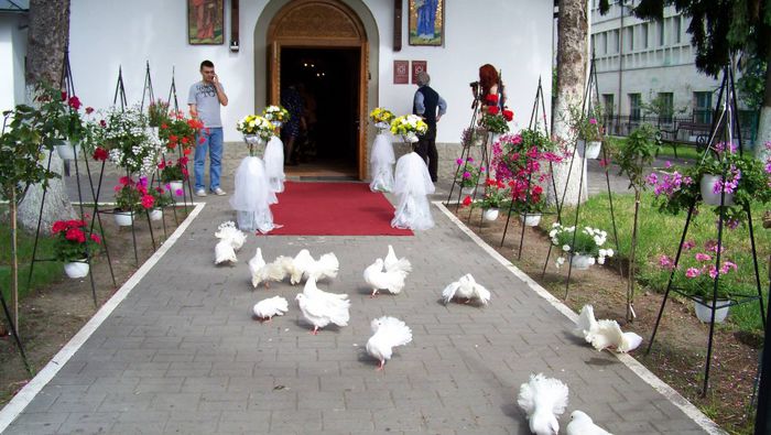 10317654_515874688541024_5069284855339863051_o