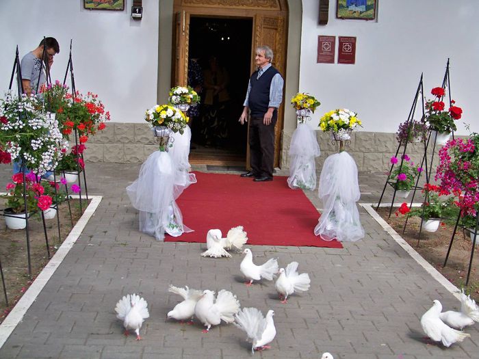 10382590_515874781874348_7502752747055695930_o