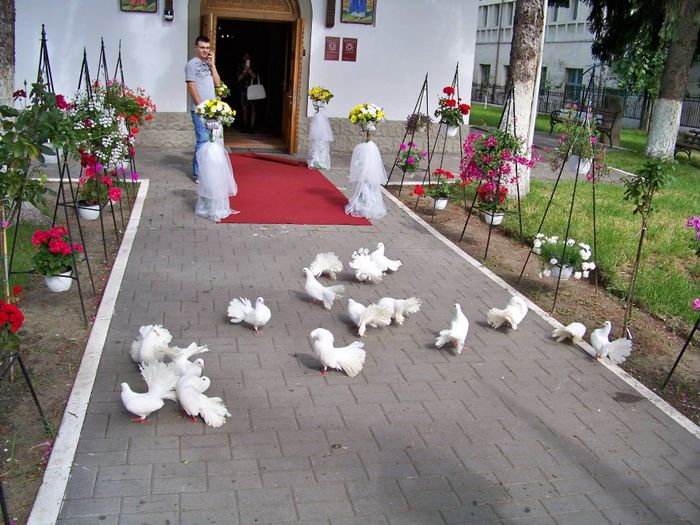 10387017_515874648541028_9109351751432646667_o