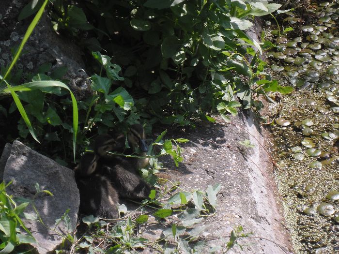 la odihna dupa inotat