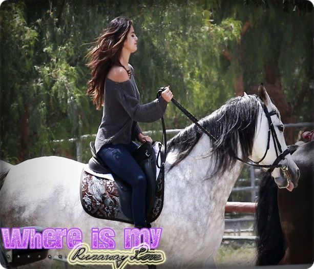  - We Have Confident Nights-NEWS