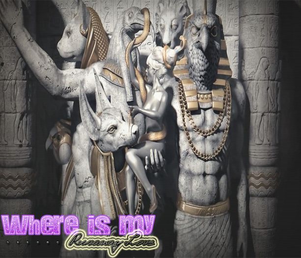  - We Have Confident-CONTACT US