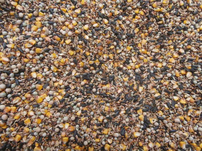 SORG, MAZARICHE, MAZARE