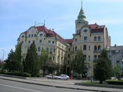 Oradea Vultu negru - CONTACT