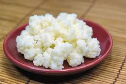 1 - KEFIR-ciuperca tibetana