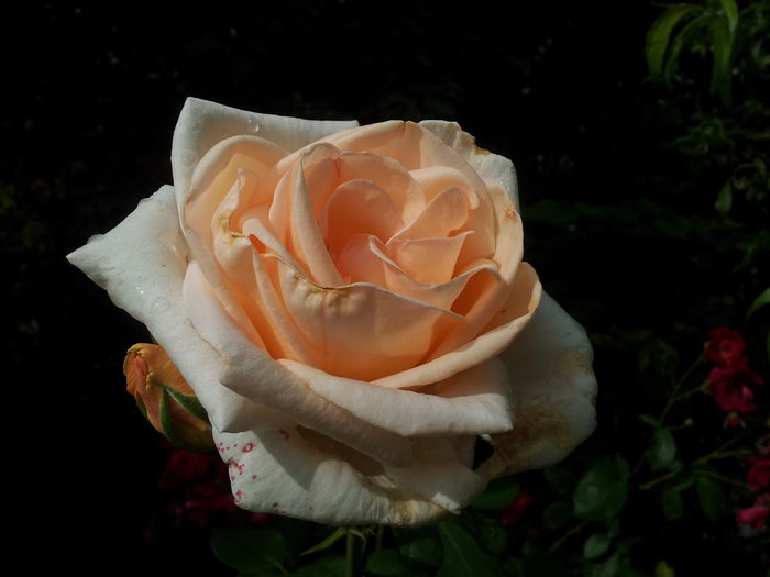 20140604_101540