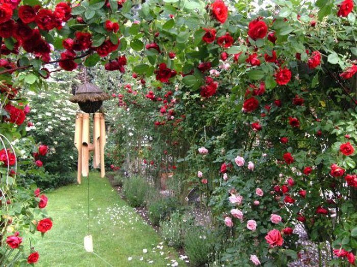 318 - idei interesante culese de pe net A