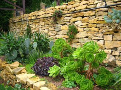 262796872_7c0ad35521_b - idei interesante culese de pe net A