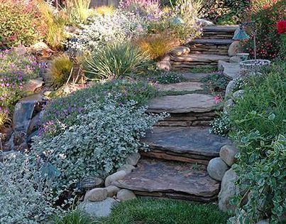 527368004ba5f - idei interesante culese de pe net A